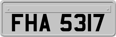 FHA5317