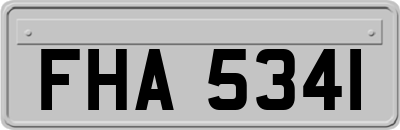 FHA5341