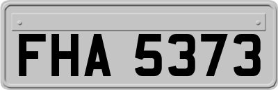 FHA5373