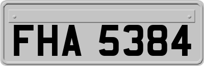 FHA5384