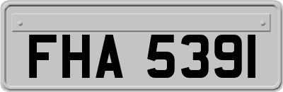 FHA5391