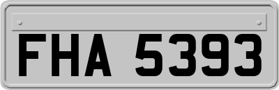 FHA5393