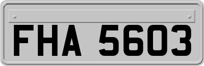 FHA5603