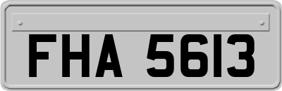 FHA5613