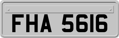 FHA5616