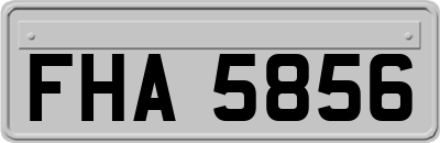FHA5856