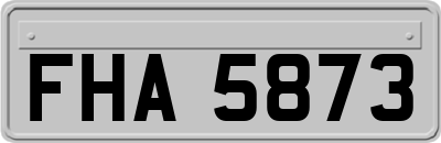 FHA5873