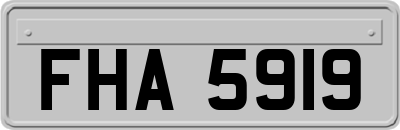 FHA5919