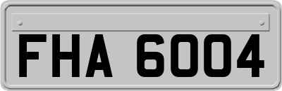 FHA6004