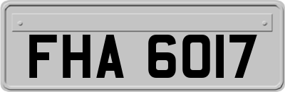 FHA6017