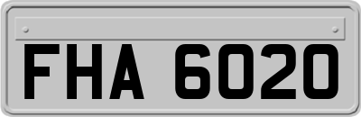 FHA6020