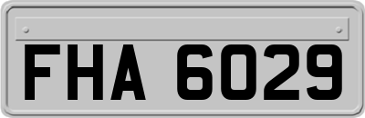 FHA6029