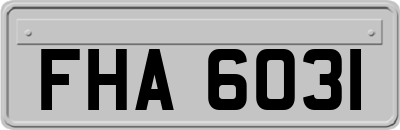 FHA6031