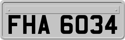 FHA6034