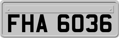 FHA6036