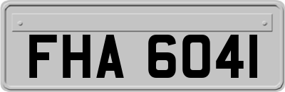 FHA6041