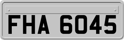 FHA6045