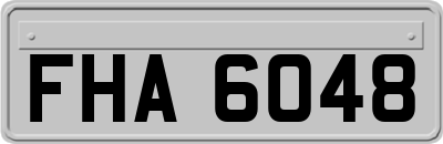 FHA6048