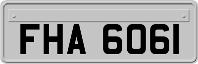 FHA6061