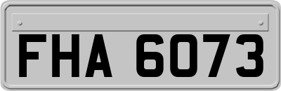FHA6073