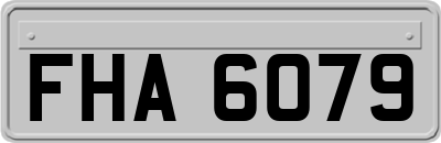 FHA6079