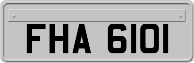 FHA6101