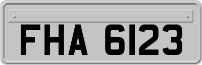 FHA6123