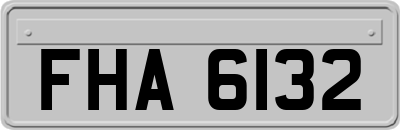 FHA6132
