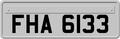 FHA6133