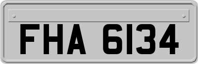 FHA6134