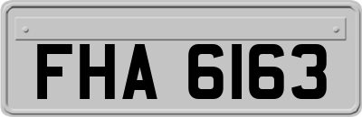 FHA6163