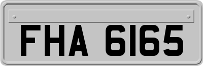 FHA6165