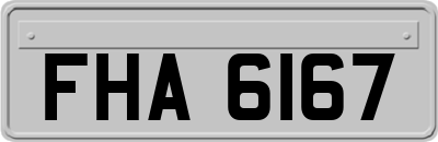 FHA6167