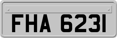 FHA6231