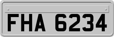 FHA6234