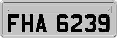 FHA6239