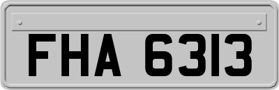 FHA6313