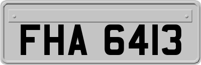 FHA6413