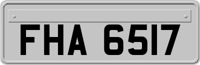 FHA6517
