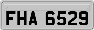 FHA6529