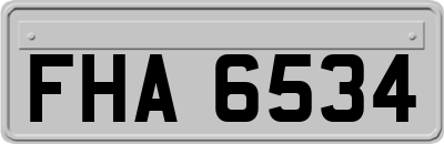 FHA6534