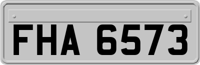 FHA6573