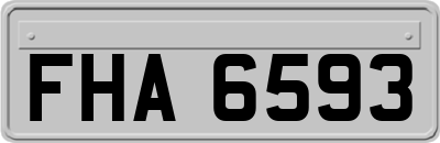 FHA6593