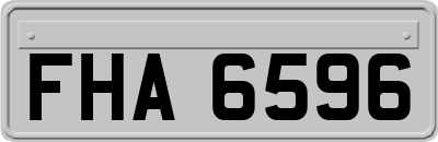 FHA6596