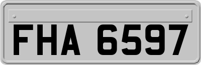 FHA6597
