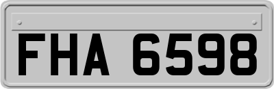 FHA6598