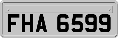 FHA6599