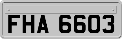 FHA6603