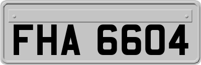 FHA6604