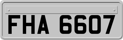 FHA6607